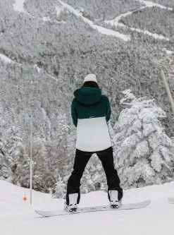 Burton Women's Gloria Stretch 2L Pants -Ski Pants Shop burton women s burton gloria stretch 2l pants true black 4